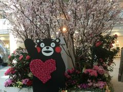 横浜東京お花見旅行！