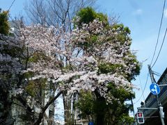 東京散歩♪ vol.39 卯月つれづれ～♪