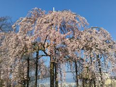 日帰り温泉からの京都旅