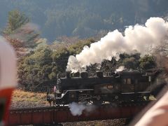 SL列車に乗って桜を愛でるぞー＜残念記＞