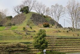 2017春、九州西北の名城(7/35)：3月29日(7)：名護屋城址(1/5)：名護屋城址へ、博物館