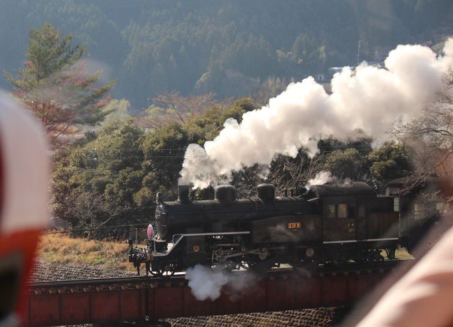 2017年、桜の開花が遅れてしまった残念な年でした。<br />バス旅行の予約は変更できないので、一抹の期待感を抱き出発！<br />結果、やはり桜は惨敗、<br />「乗鉄」「撮鉄」のおばちゃんと化した1日となりました。<br /><br />1日め<br />　新宿　→　海老名SA　→　秦野中井IC（車5台の事故あり）・小田原IC<br />　→　三島IC　→　三島大社　→　岩本山公園　→　田子の浦　→　清水港<br />　→　三保桟橋　→　清水船越堤公園　→　浜名湖弁天島<br /><br />2日め<br />　浜名湖　→　浜名湖IC　→　袋井IC　→　太田川桜堤　→　森掛川IC<br />　→　島田金谷IC　→　新金谷駅　→　家谷駅　→　道の駅「茶茗舘」<br />　→　奥泉駅　→　奥大井湖上駅　→　接阻峡　→　道の駅「川根」<br />　→　藤枝岡部IC　→　愛鷹SA　→　海老名SA　→　新宿<br /><br />とりあえず、雨に降られなかっただけでも良しと諦め（るしかない）、<br />でも桜も富士山も見えず、いつもより高価なバス旅行だったので残念な旅。<br /><br />次の桜見は4日からの東京めぐりに期待大。<br />　