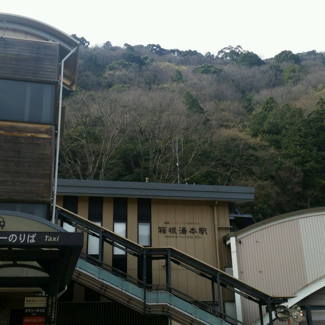 上京してくる家族と羽田空港で待ち合わせて箱根へ温泉旅行へ行きました。<br />羽田空港から箱根湯本へバスがでていて、2時間弱で到着しました。<br />初めて利用しましたが、便利です。<br /><br />箱根湯本駅から15分ほどの開雲というホテルに宿泊しました。<br />ひろい浴槽と小さいサイズの露天風呂とサウナがあり、夕方と夜と翌日チェックアウト前に温泉につかり満足しました。<br />シャンプーが数種類置いてあるのも嬉しかったです！<br />夕食はお部屋でしたので気兼ねなく家族で食事ができました。<br />お刺身が美味しかったです。<br />古いホテルでしたが不自由はありませんでした。<br /><br />帰りはロマンスカーにのって帰りました。<br />都内から箱根へは気軽にいけるので恒例になりつつある温泉旅行ですが、来年もまた行きたいとおもいます。