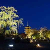 京都の世界遺産巡り　東寺・醍醐寺