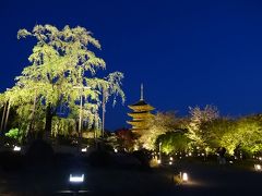 京都の世界遺産巡り　東寺・醍醐寺