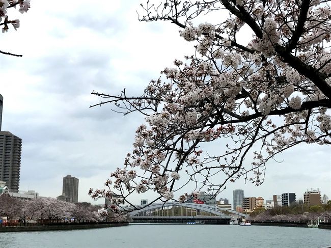 2017年4月6日　ふと思いついて　梅田から　車で　大川沿いにある　太閤園へ・・・・<br />ここは　しばしば食事に訪れるところですが　大川沿いの桜が　この近くから　すぐに　見に行けるのです。<br /><br />車は　太閤園の広い駐車場に止めおいて　桜を目指して　歩きます。