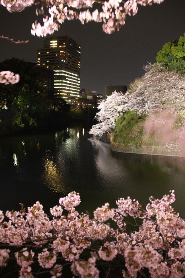 靖国神社の夜桜能鑑賞のついでに千鳥ヶ淵のライトアップの夜桜を見に行くのは、今年2017年で４度目です。<br />2014年に初めて見に行って感動した後、毎年見に行っていることになります。<br />ただし、おととし2015年は小雨が降っていたし、開花が早かった去年2016年は、すでにさくらまつり期間は終わっていて、ライトアップがありませんでした。<br /><br />今回は、夜桜能の開演時間より余裕をもって最寄りの地下鉄駅の九段下に到着できたので、日没後でしたが暗くなる前の北の丸公園入口付近とその近くの千鳥ヶ淵の桜を、先に鑑賞することができました。<br />そして夜桜能の終演後、ライトアップの千鳥ヶ淵を見に行きました。<br />皇居の手前に到着し、そこから千鳥ヶ淵の写真を撮ったところで、ライトアップ終了の22時となり、ぎりぎりでした。<br /><br />観劇前に北の丸公園入口付近を回っていたときは、日没後の青みがかった空気の中の桜であっても、とてもワクワクできました。<br />靖国神社では、能楽堂の前の限られたエリアで、夜空をフレーミングするように咲き誇った満開の桜に感動できました。<br /><br />ところが、そのあとの千鳥ヶ淵のライトアップの桜は、期待が高すぎたのか、これまでの記憶が美化されているのか、こんなもんだったっけ、と首を傾げてしまいました。<br />お堀にしなだれかかる散策道側のソメイヨシノの大木は、以前の方がもっと多くのライトで照らされていたような気がしました。<br />手前の桜並木に当たる光の量と、対岸の桜並木の光の差がありすぎて、せっかく頑張って一眼レフを持参したのに、明るすぎる写真か、暗すぎる写真か、好みの写真はなかなかゲットできないまま、歩き進んでいました。<br />ところどころでこれぞという構図になるところがあったのですが、あとで写真をパソコン画面で拡大してみたら、なんだか思ったほど感動的には撮れていませんでした。<br />それに、満開満開と言われるわりには、花のボリュームが少なく感じられました。<br />桜並木のお堀への映り込みの美しさも、思ったより限定的なスポットでしか感じられませんでした。<br /><br />と、私としては少々ケチがついてしまった千鳥ヶ淵の夜桜見ですが、冷徹なカメラの目に比べると、肉眼と視覚情報を処理する脳は、もっと本人に優しいし、なにより、絶頂期かどうかはともかく、桜は見頃でしたので、今年も夜の千鳥ヶ淵のライトアップを、荘厳な景色として味えたとことは味わえました。<br /><br />＜前後編のシリーズにしてみた６度目の靖国神社・夜桜能と千鳥ヶ淵の旅行記の構成＞<br />□（前編）恒例の靖国神社の夜桜能はおぼろ月夜の満開真っ盛り@<br />■（後編）まだ明るい日没後の北の丸公園からライトアップの千鳥ヶ淵の荘厳な景色<br /><br />千代田区さくらまつり2017年度のページ（千代田区の公式サイトより）<br />https://www.city.chiyoda.lg.jp/koho/event/h290328-2.html<br />千代田区さくらまつり2017年度の特設ページ<br />https://www.city.chiyoda.lg.jp/koho/shigoto/sangyo/sakura-h29.html<br />北の丸公園と千鳥ヶ淵の案内のある環境省の皇居外苑ページ<br />http://www.env.go.jp/garden/kokyogaien/index.html<br /><br />＜これまでの夜桜能のときの靖国神社と千鳥ヶ淵の夜桜旅行記＞<br />５度目：2016年４月５日<br />「靖国神社の夜桜能は人の目には満開の桜の下で＆ライトアップのない千鳥ヶ淵」<br />http://4travel.jp/travelogue/11119945<br />４度目：2015年４月１日<br />「恒例となった靖国神社・夜桜能鑑賞の４度目は小雨の中の満開の桜と共に」<br />http://4travel.jp/travelogue/10997003<br />「夜桜能帰りの千鳥ヶ淵のライトアップは小雨の中の散り始めの満開の桜」<br />http://4travel.jp/travelogue/10997005<br />３度目：2014年４月２日<br />「恒例の靖国神社の夜桜能──３度目にして文字通り満開の夜桜能@」<br />http://4travel.jp/travelogue/10872767<br />「桜が満開の千鳥ヶ淵のライトアップは幽玄なモノトーンの世界」<br />http://4travel.jp/travelogue/10872768<br />２度目：2013年４月３日<br />「なんとか夜桜が見られた２度目の夜桜能──２度目の靖国神社も夜の能舞台観劇合間に」<br />http://4travel.jp/travelogue/10763457/<br />初回：2012年４月４日<br />「かろうじて桜が見られた初めての夜桜能───初めての靖国神社は夜の能舞台観劇前に」<br />http://4travel.jp/travelogue/10658453/<br />