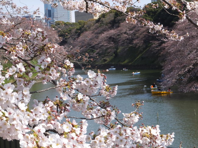 都内の桜<br />靖国神社、千鳥ヶ淵、増上寺、芝公園、上野公園、墨田公園の桜を見てきました。<br />都内の桜の満開宣言があった翌日でしたが、満開はまだこれからという感じでした。<br />