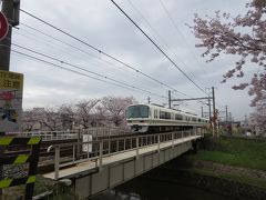 母と行く思い入れたっぷりの佐保川☆満開の桜に、まだまだ頑張ることを誓うのです～!(^^)!