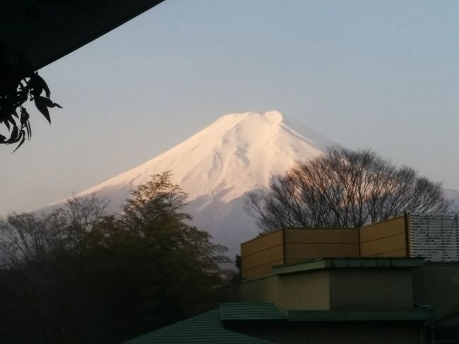 二日目の朝を迎えました！<br /><br />朝陽が当たる富士山。<br /><br />本当に美しい。<br /><br />表紙の写真は母たちのお部屋の露天風呂から見える富士山です。<br />私が行ったときにはだいぶんお日様が昇っていたのでそんなに赤くは無いですが、母たちが朝ぶろに入った時は赤い富士山が拝めたそうです。<br /><br />とても喜んでいました！<br />それが何より嬉しい（＾＾）ｖ<br /><br />さて、２日目は。。。<br />9：00	ホテル鐘山苑　出発<br />10：00	えびせんべいの里　　こちらでお土産を購入<br />11：00	芦ノ湖スカイライン　暫くスカイラインでドライブ！<br />　　　　　そして、長尾峠IC　　エヴァンゲリオン聞く！<br />12：00	オラッチェ　　　　　ランチ＆動物とのふれあい<br />15：30	伊豆稲取温泉　浜の湯　到着（温泉組と釣り組に）<br /><br />はてさて、昨日同様、順調に行きますかね～？<br />		<br />