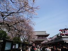 桜を愛で散歩＜浅草編＞