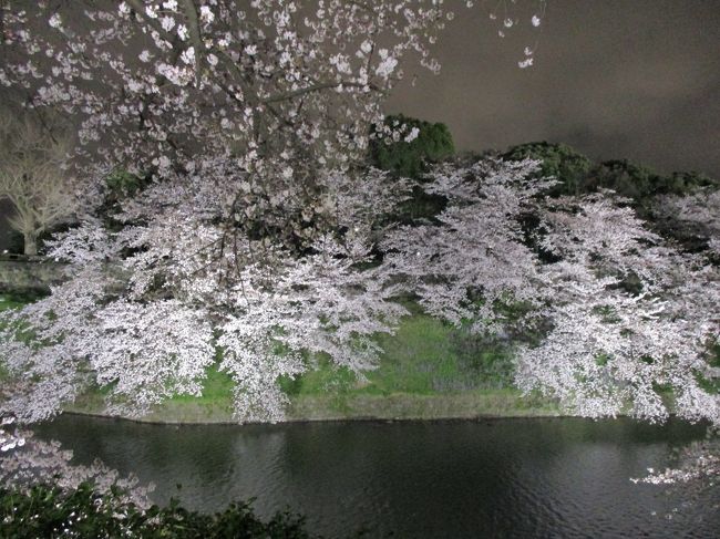 満開になった桜を観てきました！<br /><br />九段下の千鳥ヶ淵と靖国神社の桜です。