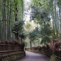 京都の旅：後編
