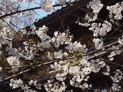 土佐へ４、竹林寺