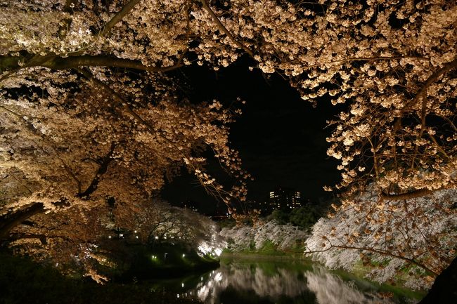 一年ぶりの千鳥ヶ淵の夜桜見物。<br />金曜日の夜という事もあり、大勢の人出で大にぎわい。<br />陽気もよく、絶好の桜見物日和。<br />行く春を思い切り堪能。<br /><br />ライトアップは4月9日まで延長との事。<br />http://www.kanko-chiyoda.jp/tabid/2800/Default.aspx