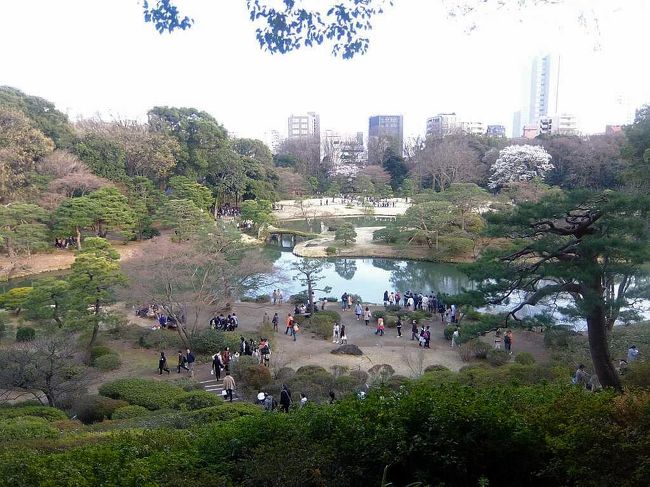 小石川後楽園，浜離宮恩賜庭園と行ったので，六義園（りくぎえん）にも行かなければと思い行った．枝垂れ桜の満開時期に合わせて行き，暗くなるまで待ってライトアップも見てきた．訪問客多数でした．日が暮れるまで時間があったので，庭園を二巡することになった．9pmまでの夜間開園は3/16-4/2で，この日は最終日だった．今年は桜開花が遅れたようで，あと1週間程は見ごろで，夜間開園期間はもっと遅らせてもよかったはず．<br /><br />小石川後楽園は水戸徳川家の庭園，浜離宮恩賜庭園は徳川将軍家の庭園，そして六義園は川越藩主・柳沢吉保（五代将軍・徳川綱吉の信任厚い側用人）が造園．いづれも江戸の「回遊式築山泉水庭園」．三ヵ所行った訳だが，どれが一番かと言うと，私は小石川後楽園．