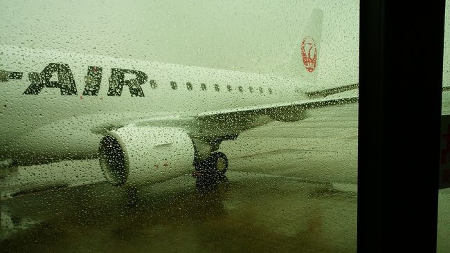 南紀白浜のアドベンチャーワールドへ<br />パンダを見に行くため<br />飛行機に乗ったのだが<br /><br />悪天候のため<br />羽田空港引き返して欠航となりました<br /><br />7:25羽田発<br />8:40到着予定が<br />悪天候のため様子見で上空旋回待機<br />20~30分様子見るとのアナウンスのあと<br />8:50頃9:30迄に天候回復しなければ羽田空港引き返すとのアナウンス<br />9:16 天候回復しないとの判断のようで<br />羽田引き返し決定アナウンス<br /><br />10:10頃羽田空港着陸<br /><br />変更手続きのため 窓口に並ぶが<br />次の南紀白浜行きも欠航が決まっており<br />近隣の伊丹、関空も午後便以降しか空いてないとの事<br /><br />窓口で相談の上<br />次週の私の休み日に変更して頂きました。<br /><br />今回 特典航空券を利用<br />飛行機を降りた際に<br />欠航の場合 ネットで搭乗便変更及びキャンセルできるとの案内パンフレットを貰うが<br />今回の特典航空券のフライト時間を過ぎた予約はエラーとなって <br />スマホで予約変更の画面に進めなかったので<br />窓口に並びました<br /><br />窓口に並びながら スマホで予約確認すればよかったです<br />特典航空券が変更の必要に迫られた場合<br />とりあえず 窓口にならんだ方が良いと思います<br /><br />