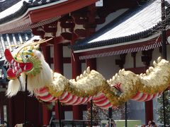 三社祭のプロローグ 浅草神社宮神輿「堂上げ堂下げ」と招き猫の今戸神社