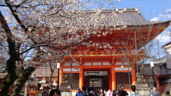 ２０１７年４月１日から１泊２日で、奈良・京都へ行ってきました。<br />この旅行記は、２日目午後の「春の京都にちょっと寄り道」編です。<br /><br />奈良の帰り道・・・<br />京の都に少しだけ立ち寄りました。<br />外国の方がいっぱいでしたねー<br /><br />