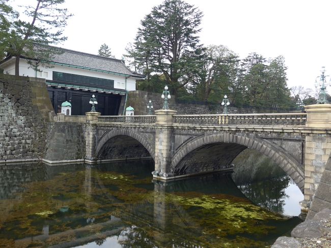 息子と東京観光をしました。<br />その２は桜田門を抜けたところまでです。<br />東京駅で息子と待ち合わせをし皇居のお堀を見て回り、桜田門へ<br />国会議事堂、最高裁判所、国立劇場、桜の名所千鳥ヶ淵へ移動し桜見物<br />その後、靖国神社参拝わして九段下から地下鉄で六本木へ<br />六本木ヒルズを見学と梅蘭で昼食、東京ミッドタウン、<br />再び東京駅へ戻り夜景を見て東京KITTEビルのお店を回りました。<br />最後は品川駅内の立ち食い寿司を食べて東京観光が終了しました。<br />今日１日の走行距離は22.5kmとハーフマラソン以上の距離でした。<br /><br />表紙の写真は二重橋です<br />