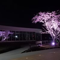 茨城県南・水戸地域の桜を楽しむ　２０１７