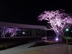 茨城県南・水戸地域の桜を楽しむ　２０１７