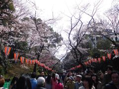 東京２０１７桜　【２】上野公園