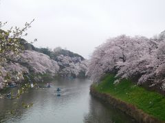 東京２０１７桜　【３】皇居１