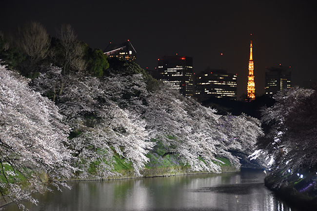 週末天気が悪くなるようなので満開の夜桜を愛でに千鳥ヶ淵へ行きました。<br /><br />毎年満開の時期は混んでいますが、今年は更に満開の桜を見ようという人が多いようで大賑わいでした。