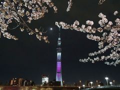 夜桜とスカイツリーと水族館☆東京都：墨田区