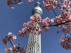 夫婦東京旅行