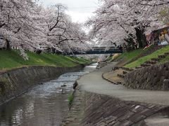 今年の花見は奈良へ　高田千本桜と石上神宮外苑