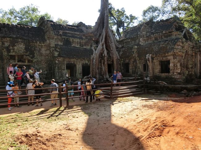 【現地駐在員の春節休み】中国を飛び出してカンボジア・シェムリアップへ（3日目）～タ・プローム、バイヨン、パブストリートほか～