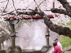 １日で巡った桜の名所めぐり♪　名古屋城＆五条川