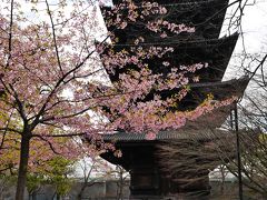 春の京都～桜は遠い～