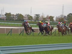 2017 宝塚 花見と桜花賞　父子２人旅～阪神競馬場（３時間）～