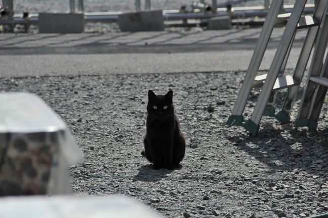 なかなか帰れない宮城県。<br />ゴールデンウィーク期間中気仙沼、鳴子、蔵王などあちこち遊びに行きました。