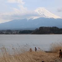 富士山と桜の花を愛でるはずだった旅（1日目の富士五湖編）
