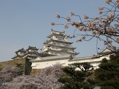 旅するイルカ♪　姫路城　桜へ