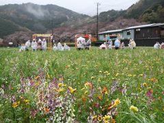 富士山と桜の花を愛でるはずだった旅（３日目の西伊豆編）