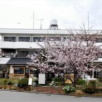 ２０１７年湯めぐり・花めぐりツアー　４月その１　愛媛県・菰隠温泉ホテルでランチと入浴　