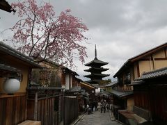 菜種梅雨の中、柚子屋旅館に泊まり、花見・グルメを満喫してきました。