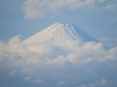 空の旅　高知～東京