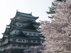 2017 東海の桜【５】名古屋城