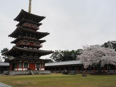 ちょっと早めの吉野山の桜と奈良の桜を満喫！①