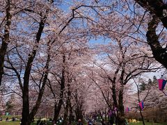 2017年4月 北関東の春を訪ねる夫婦旅☆前編☆羽生PAに寄り道し、埼玉県深谷市の国済寺温泉HANAホテルに前泊、深谷城跡、赤城山南面千本桜、小夜戸・大畑の花桃まつり、諏訪峡、道の駅水紀行館を観光☆