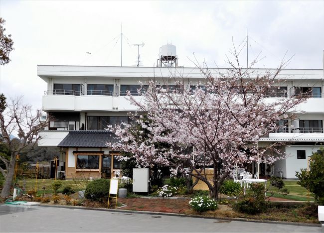 　旅行会社のツアー「湯めぐりシリーズ」１回目は「岩城島の菰隠温泉ホテル」で食事と入浴。<br /><br />　そのあとに広島県の尾道に移動し千光寺公園の桜を楽しみました。<br /><br />その１では愛媛県の菰隠温泉ホテルの様子を掲載しています。
