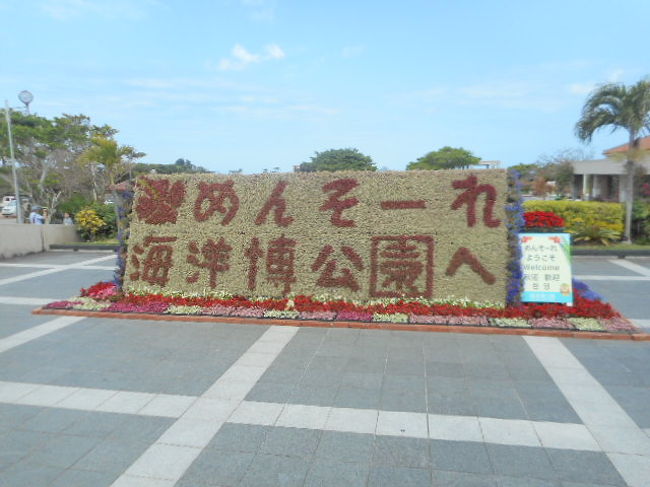 もう、すでに夏の沖縄でした。2日目は、那覇からは遠いですが、人気の”美ら海公園”へ行きました。美ら海水族館の水槽で悠々と泳ぐ”ジンベイザメ”や”マンタ”に目を凝らし、サイドのカジュアルレストランでオリオンビールを飲みながら、のんびりとランチして、ショツピング、その後、公園内のその他の施設、”海亀”の水槽を見学したり、ビーチで明るい陽の光とエメラルドグリーンの海を望み、癒されました。