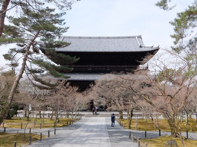 京都に用事があり、その空き時間にちょっと観光しました。