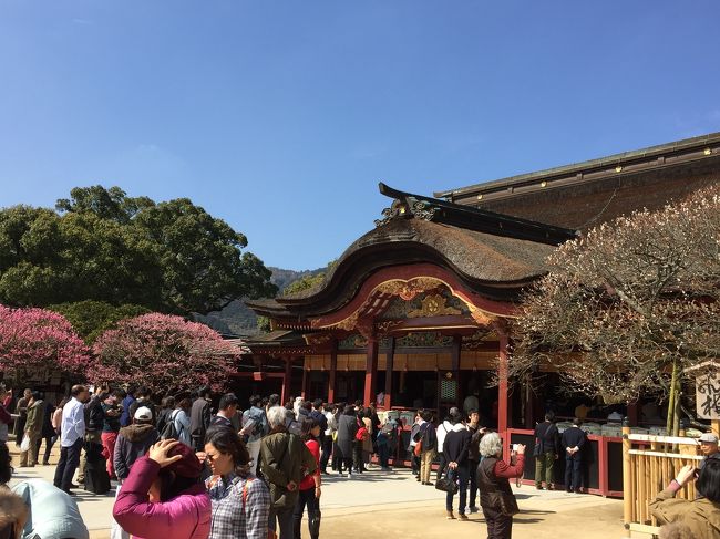 2月には京都の北野天満宮。<br />今回、福岡の太宰府天満宮にちょっと立ち寄り。